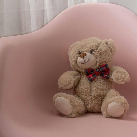 Las Ventajas de Elegir un Peluche Resistente para Tu Mascota Durante el Juego