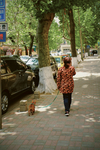 Arnés de Verano para Perro Pequeño: Comodidad y Estilo en Cada Paseo