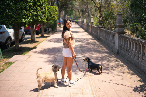 Cómo Pasear a Dos Perros sin Enredos con la Correa Doble