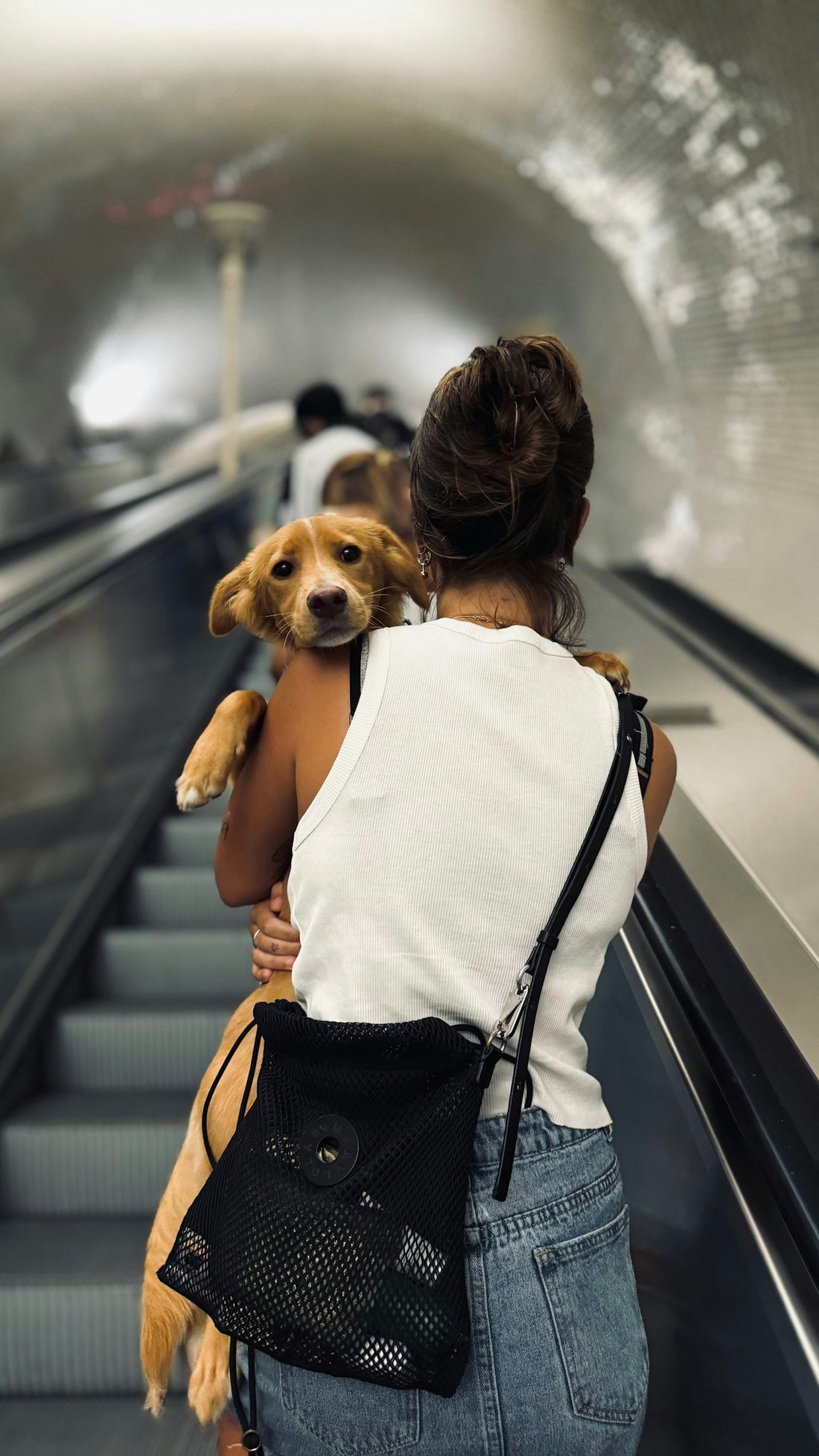 A woman carrying a dog on her back while riding an escalator