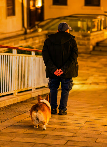 Cómo Mejorar la Seguridad de tu Perro Durante los Paseos Nocturnos con la Correa Corta Reflectante