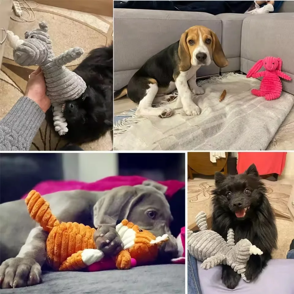 Peluches para Perro