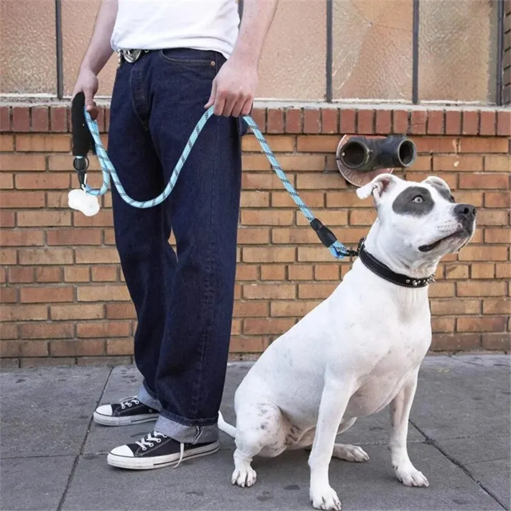 Correas para Perro