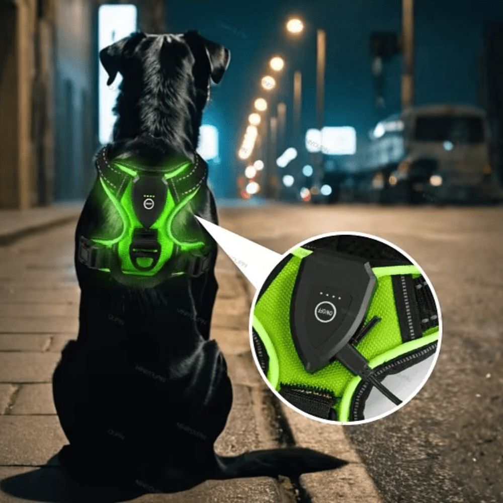 Arneses Luminosos para Perro