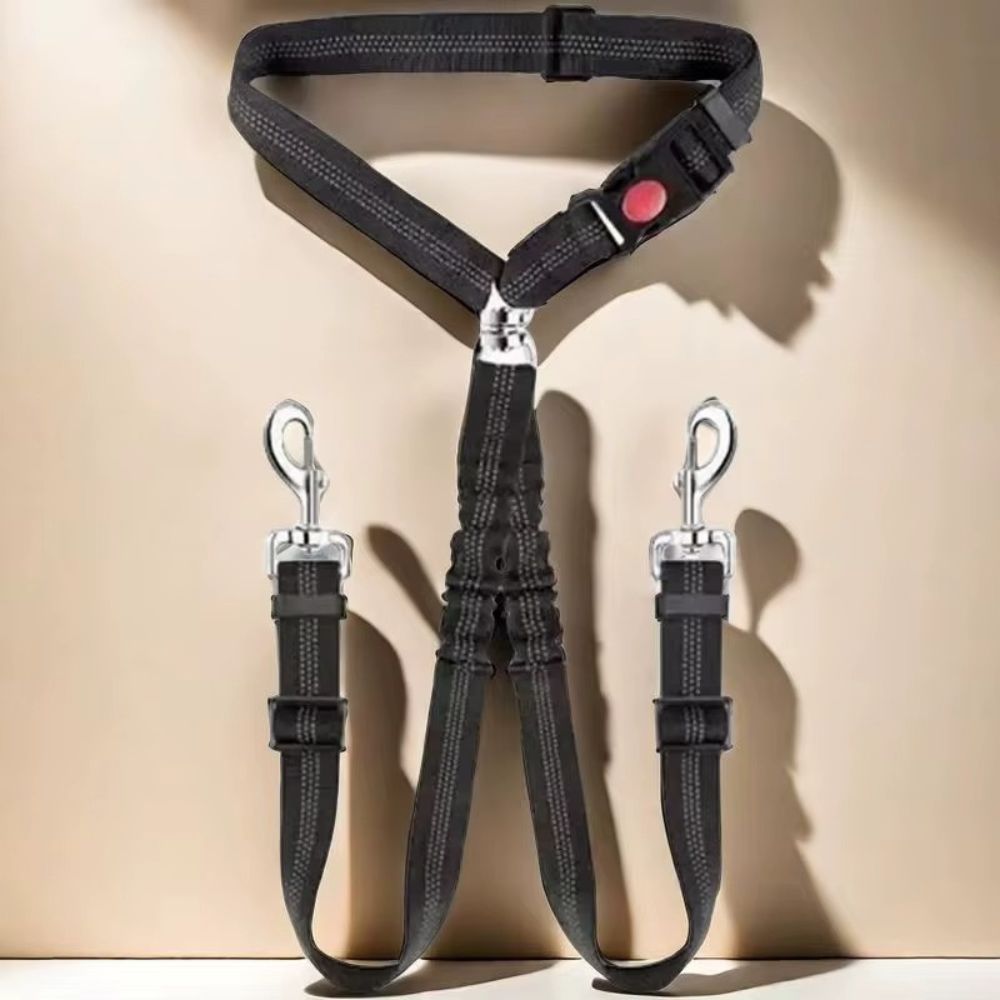Cinturones de Coche para Perro