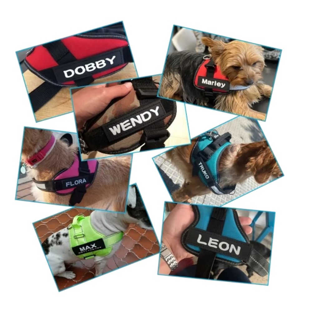Tiras de Velcro Personalizadas para Perro