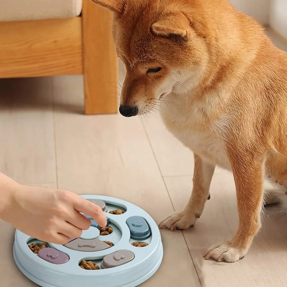 Juguetes de Inteligencia Canina