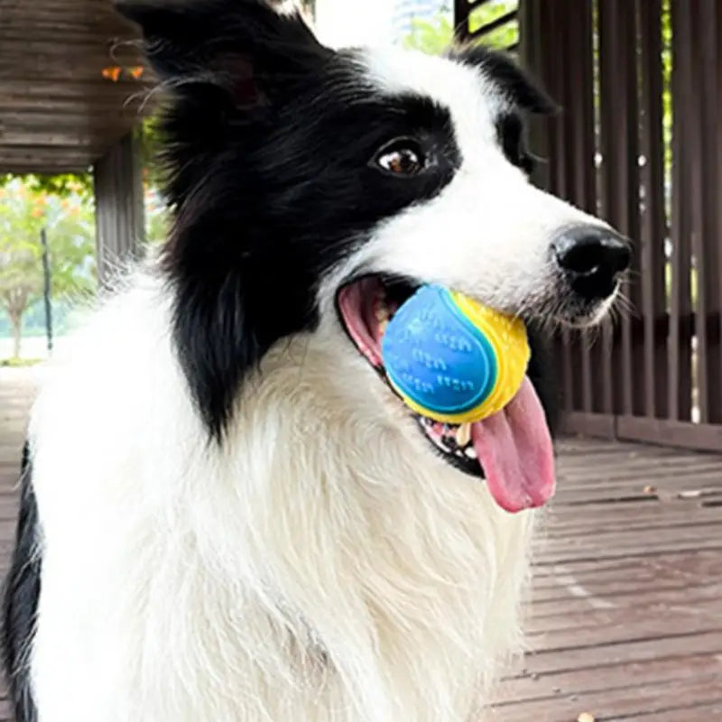 Pelotas y Tiradores para Perro