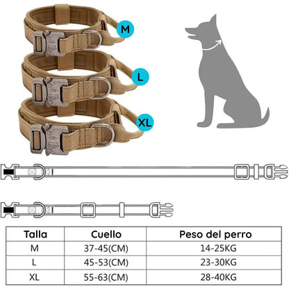Collar Táctico para Perro estilo Deportivo
