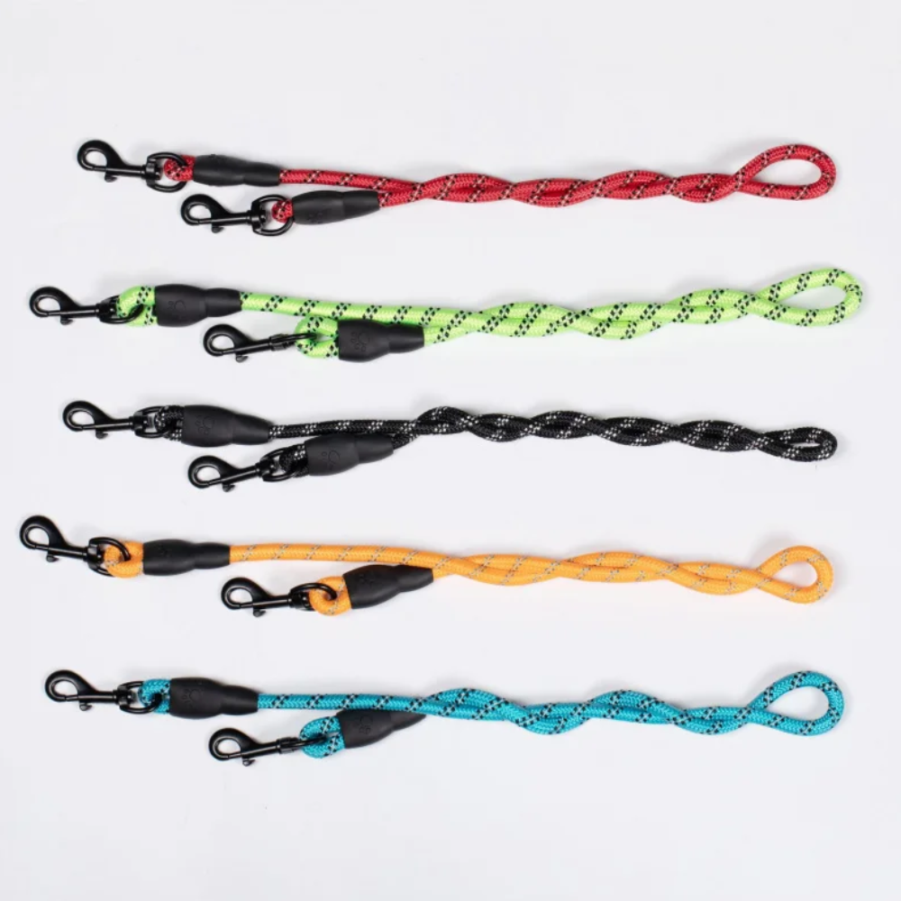 Correa Modular para Varios Perros