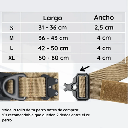 Collar para Perro con Soporte AirTag