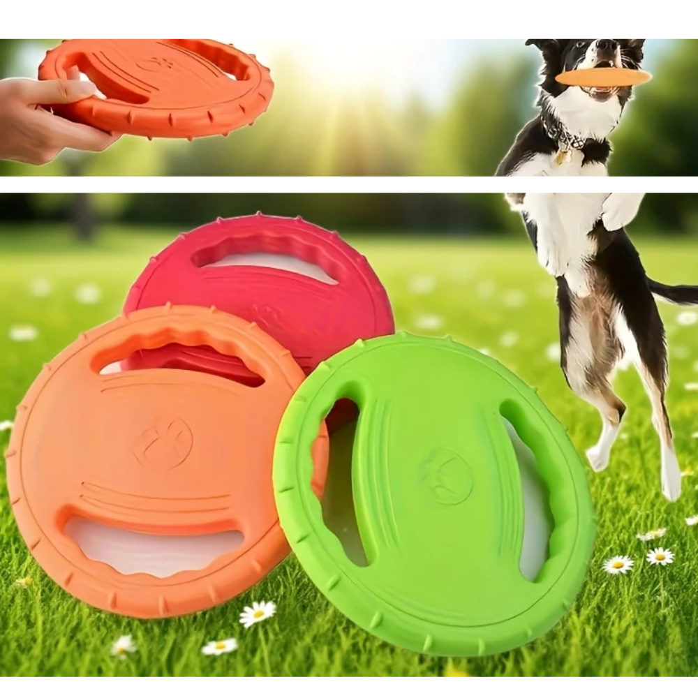 Disco Resistente para Perro