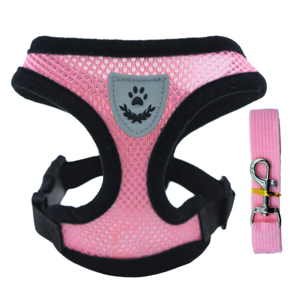Arnés de Verano para Perro Pequeño