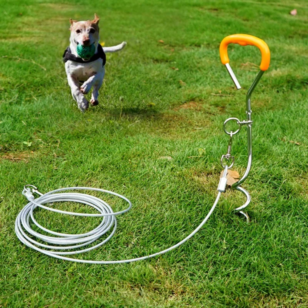 Estaca de Anclaje para Perro