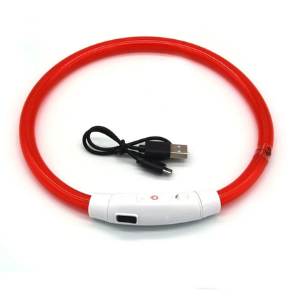 Collar LED Recargable 360