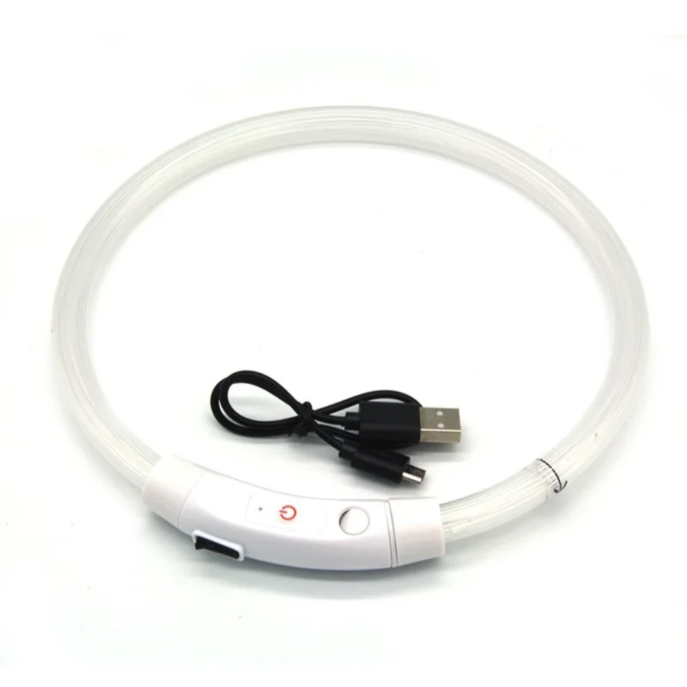 Collar LED Recargable 360