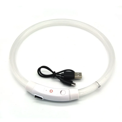 Collar LED Recargable 360