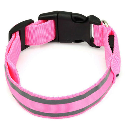 Leuchtendes Halsband für Haustiere