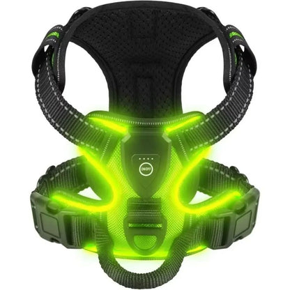 Arnés LED para Perros