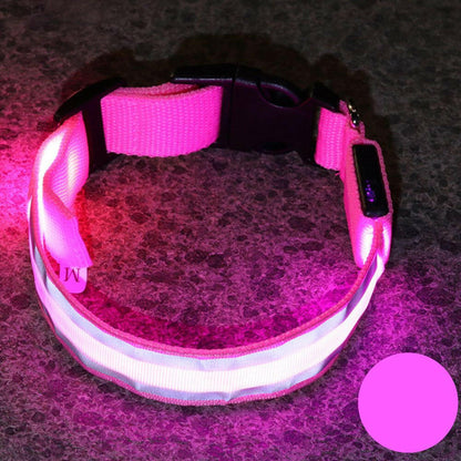 Leuchtendes Halsband für Haustiere