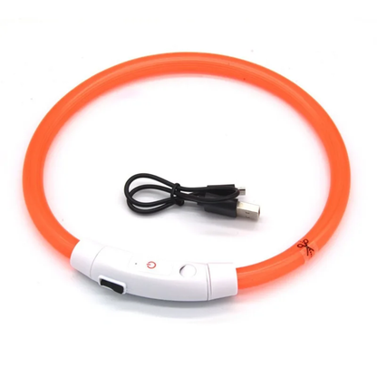 Collar LED Recargable 360