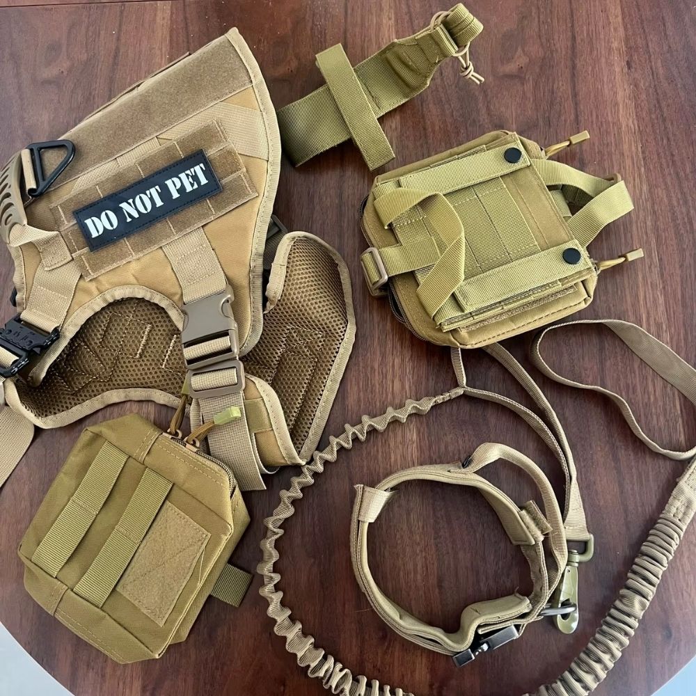 Colores y tallas disponibles del kit tactico para perro