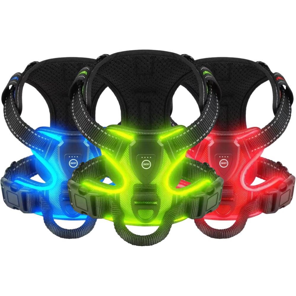 Arnés LED para Perros