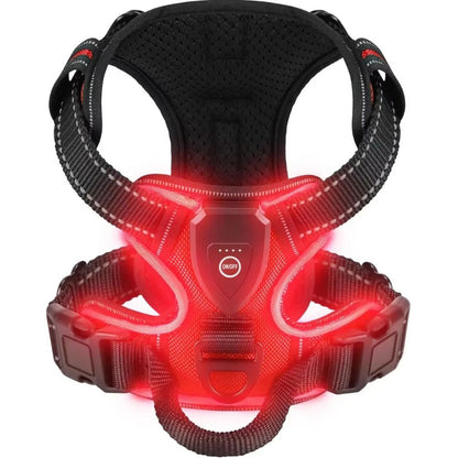 Arnés LED para Perros
