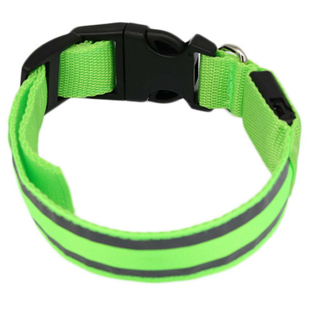 Leuchtendes Halsband für Haustiere