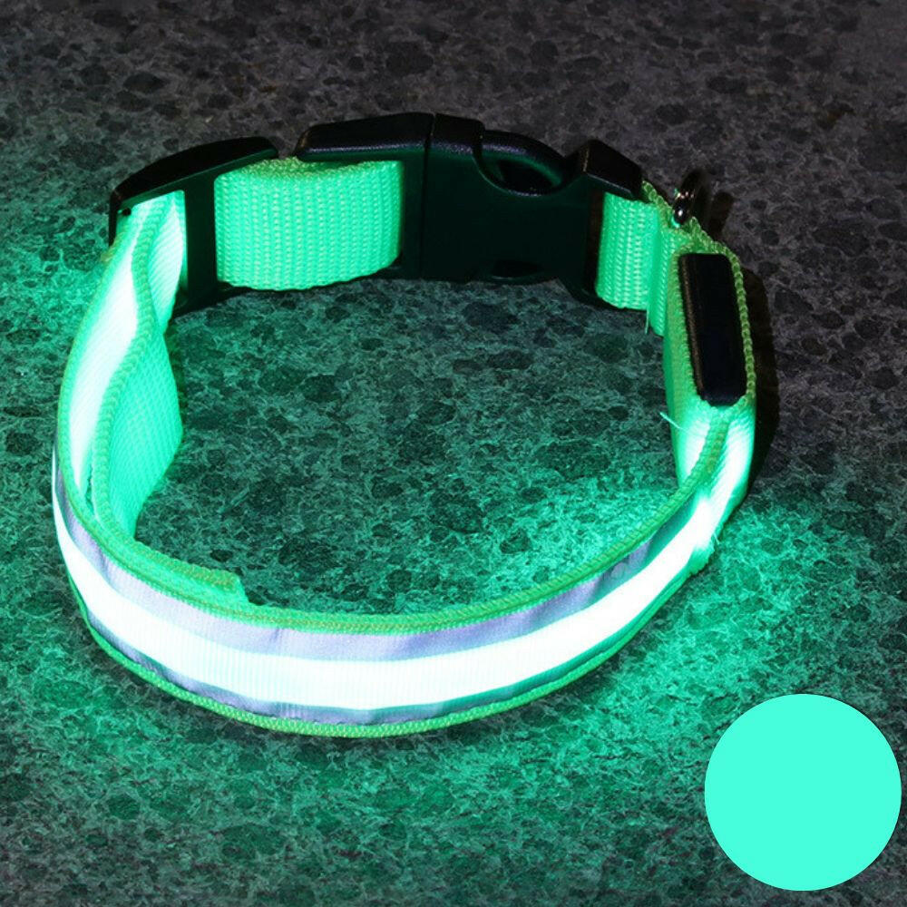 Leuchtendes Halsband für Haustiere