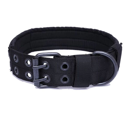 Collar Acolchado con Panel de Velcro