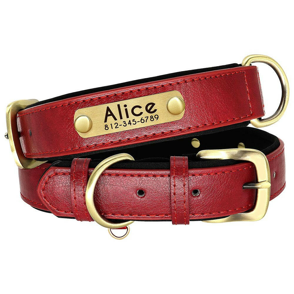 Collar de Cuero Personalizado
