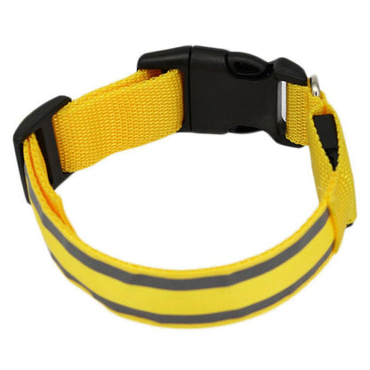 Leuchtendes Halsband für Haustiere