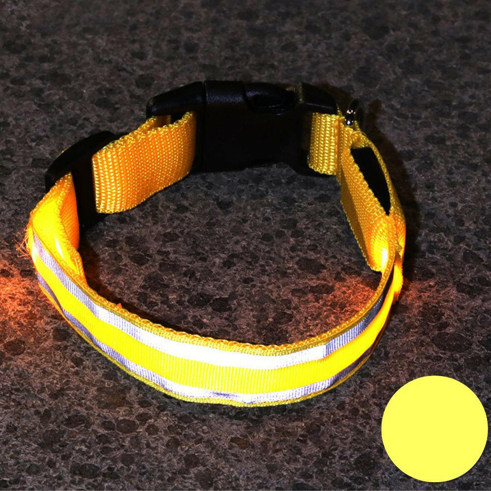 Leuchtendes Halsband für Haustiere