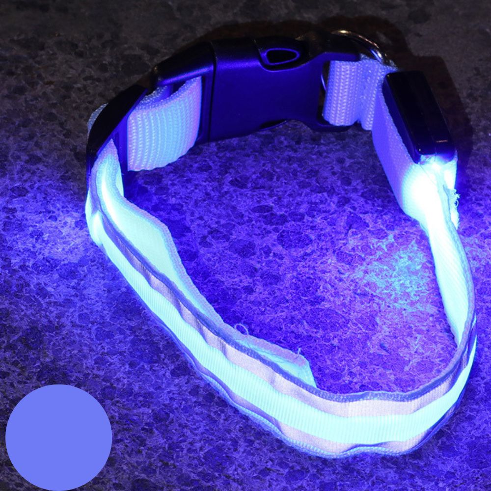 Leuchtendes Halsband für Haustiere