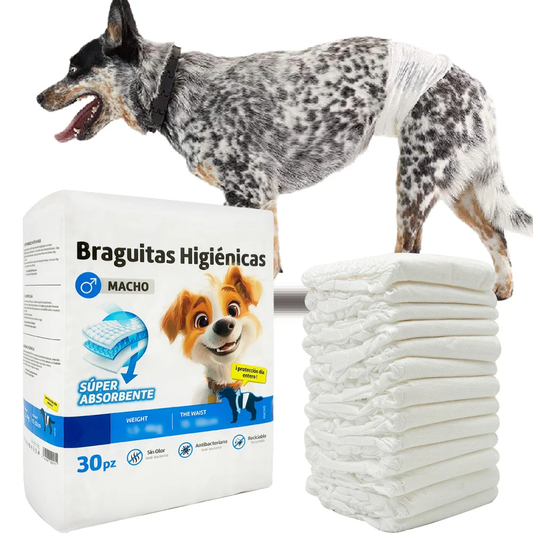 30Pcs Pañales para Perro Macho Ultra Absorvente