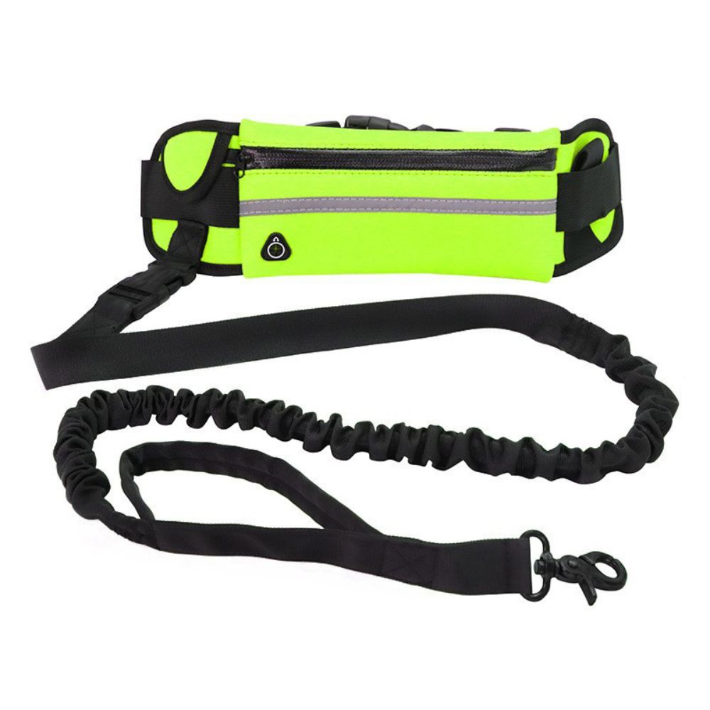 Correa Ajustable para Correr con Perros