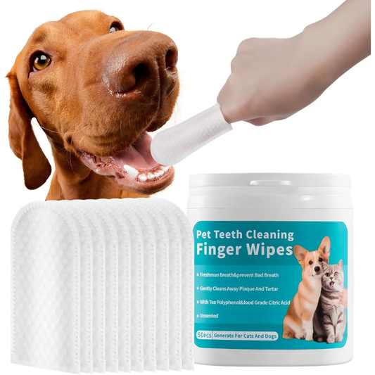 Toallitas Dentales para Perro