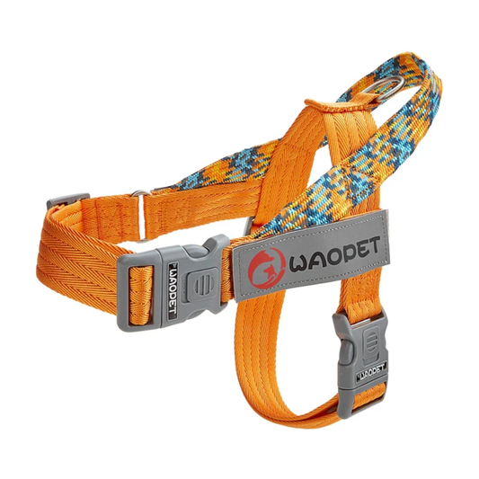 Arnés WAOPET© de Seguridad para Perro