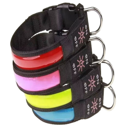Collar Luminoso LED para Perro