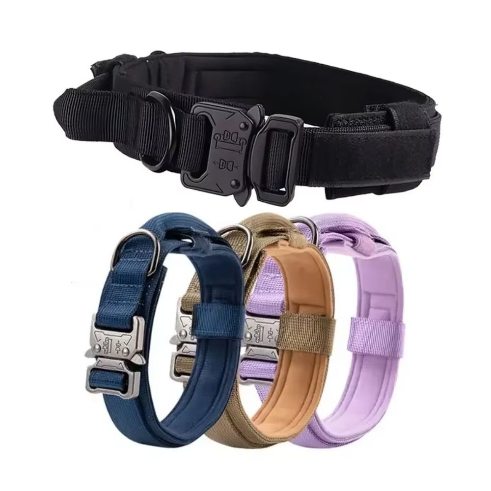 Collar Táctico para Perro estilo Deportivo