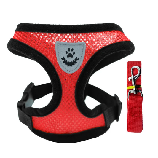 Arnés de Verano para Perro Pequeño