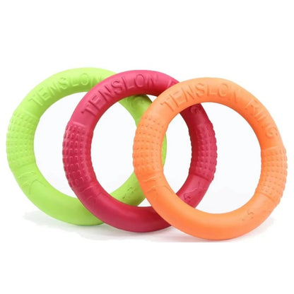 Disco Volador para perro