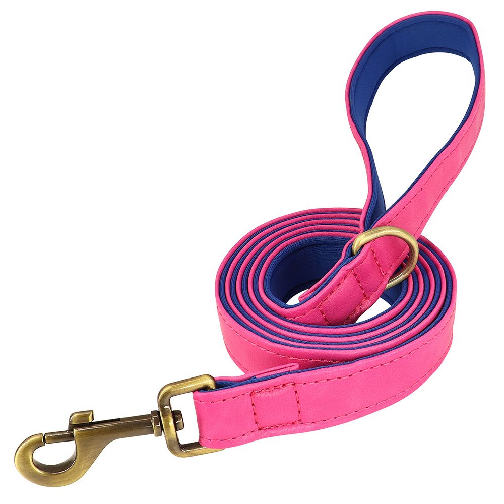 Colores disponibles de la correa de cuero para perro