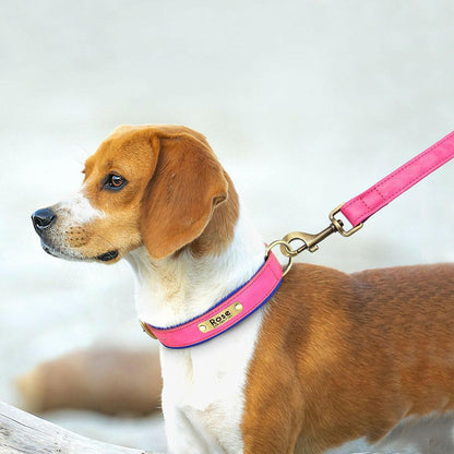 Collar de Cuero Personalizado