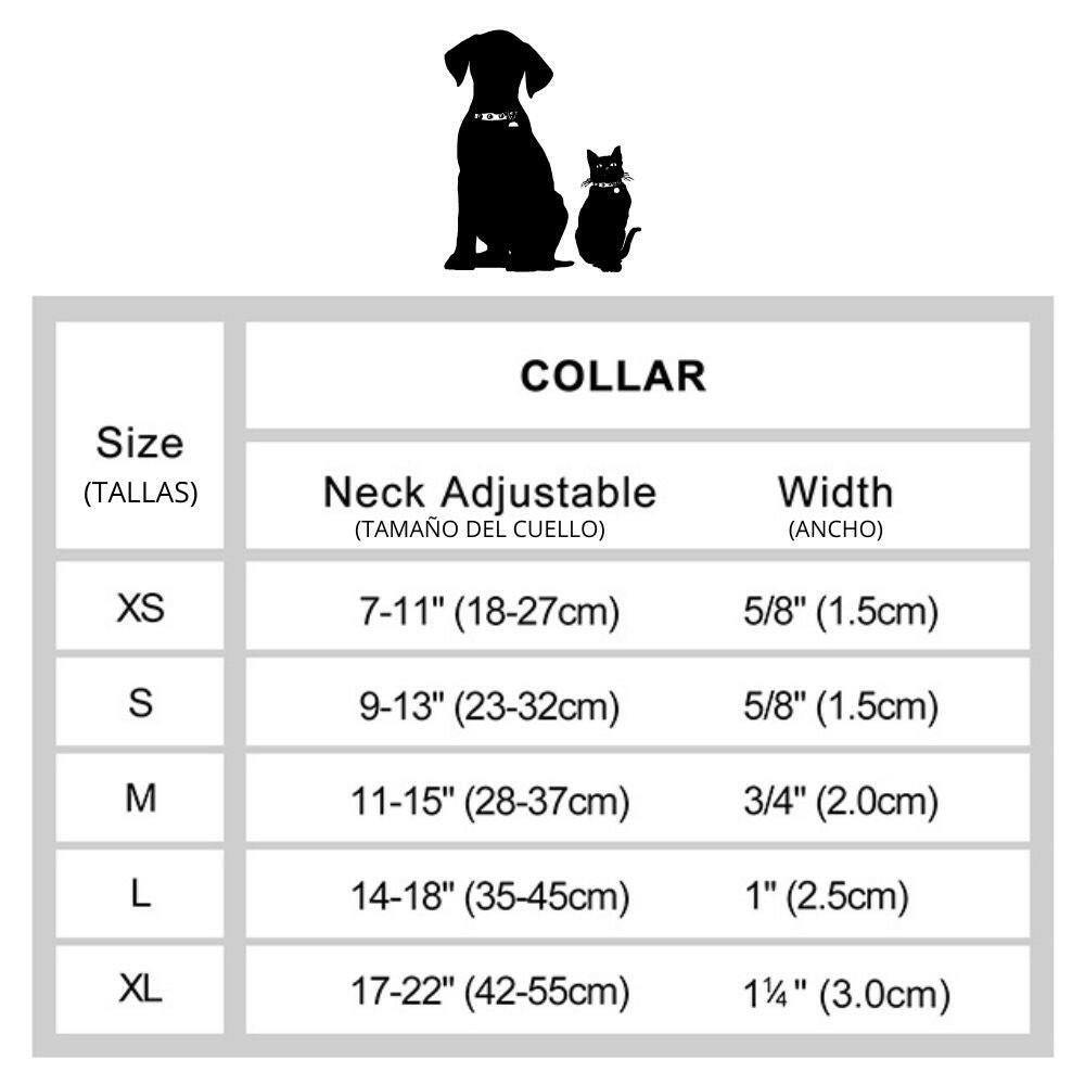 Collar de Cuero Personalizado