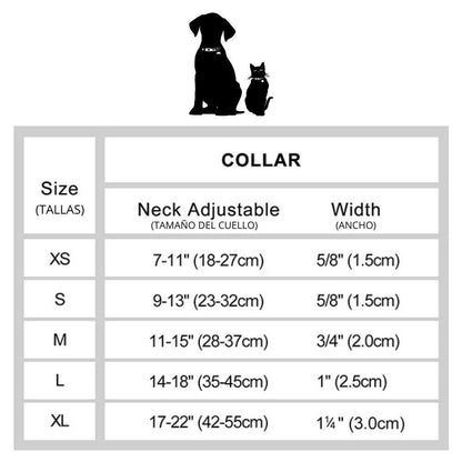 Collar de Cuero Personalizado