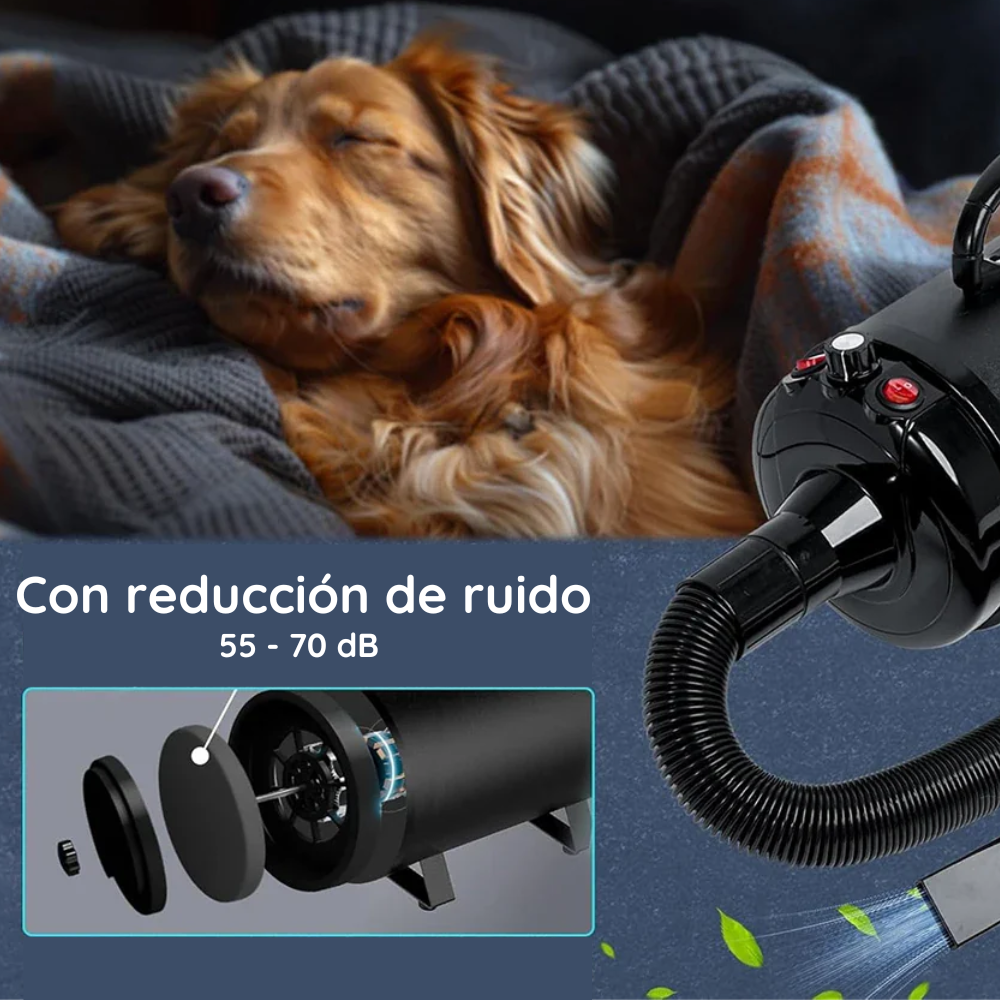 Secador Profesional para Perros