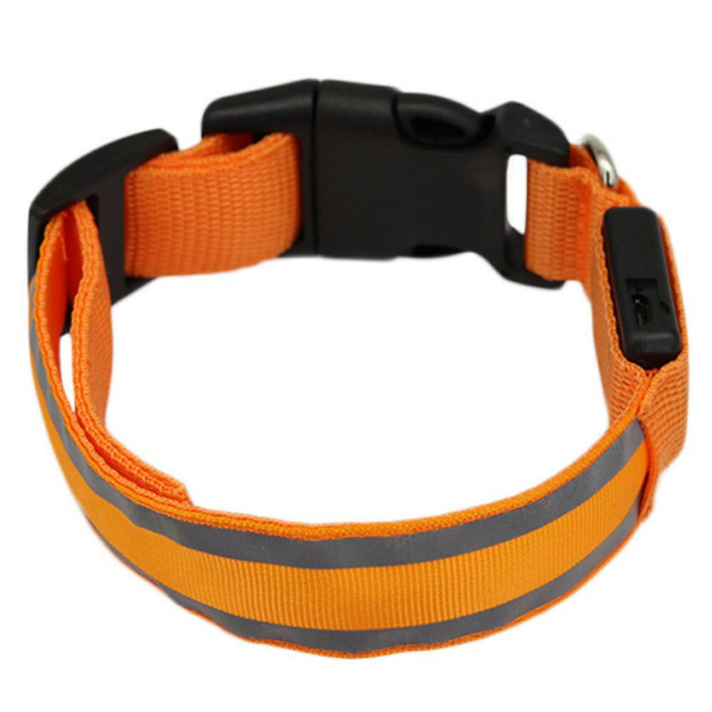 Leuchtendes Halsband für Haustiere