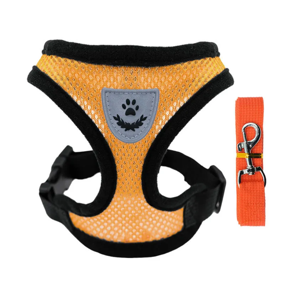 Detalle del material transpirable del arnes de verano para perro pequeno